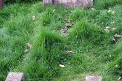DSCF6894