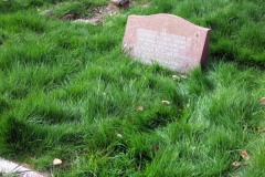 DSCF6897