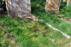 DSCF6901a