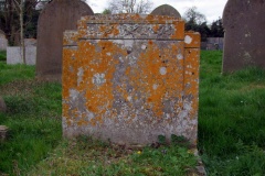 DSCF6926