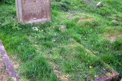 DSCF6933