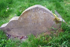 DSCF6965