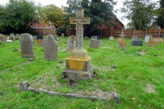 DSCF6990a
