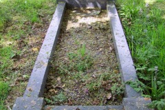 DSCF7049