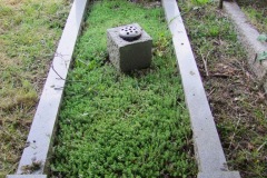 DSCF7071