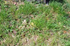 DSCF7088