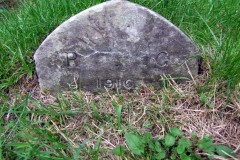 DSCF7307