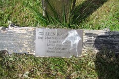DSCF7179