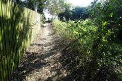 Footpath to the south side of Moregrove pond