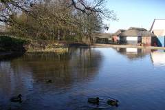 Moregrove pond