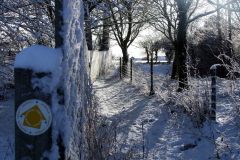 Moregrove footpath 2009 in snow