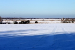 Moregrove looking north 2009