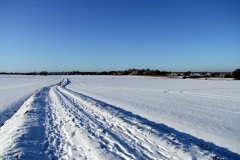 Moregrove looking west 2009