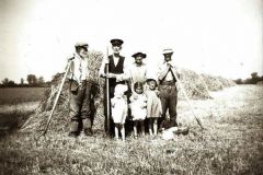 Common Farm haymaking c1947