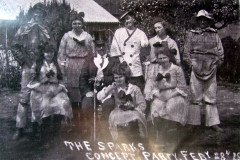 Sparks concert party