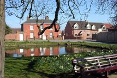 Back-Lane-pond-001