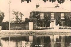 Back-Lane-pond-Martham