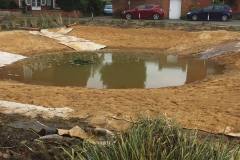 Back-Lane-pond-makeover-2018