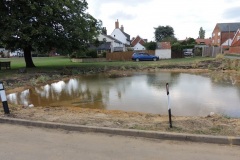 Back-Lane-pond-makeover-20183