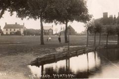 Back-Lane-pond