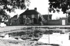 Back-Lane-pond2