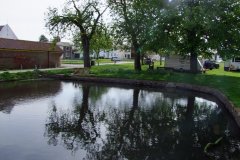 Back_Lane_pond_30_4_2012-001