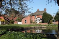Braceys-pond