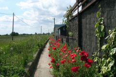 2009 bungalows path