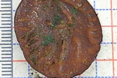 Saxon brooch with a wolf or serpent  facing its tail