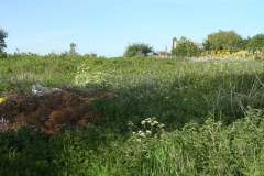 Staithe-Road-site-before-clearance-for-new-scout-hut.-2011-001
