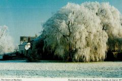 2016 Frosty-Martham-Green