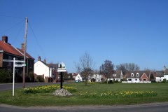 2012 Green-bulbs