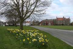 2015 Green-daffs