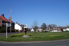 2015 Village-Green-daffs