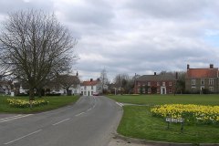 2015 Village-Green-daffs
