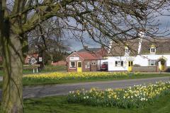 2015 Village-Green