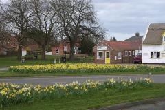 2015 Village-Green