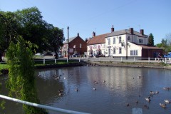 2011 Chapmans-pond
