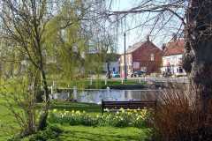 2011 Chapmans-pond