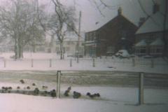 1987 Chapmans-pond-Jan