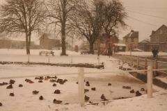 1991 Chapmans-pond-frozen