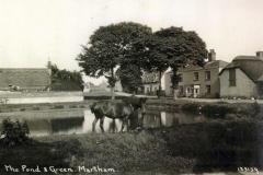 1940 Horse-by-pond