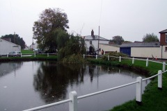 2010 willow October
