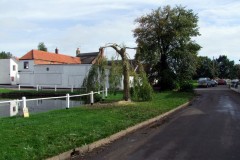 2010 willow Oct_2010