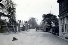 White Street looking north